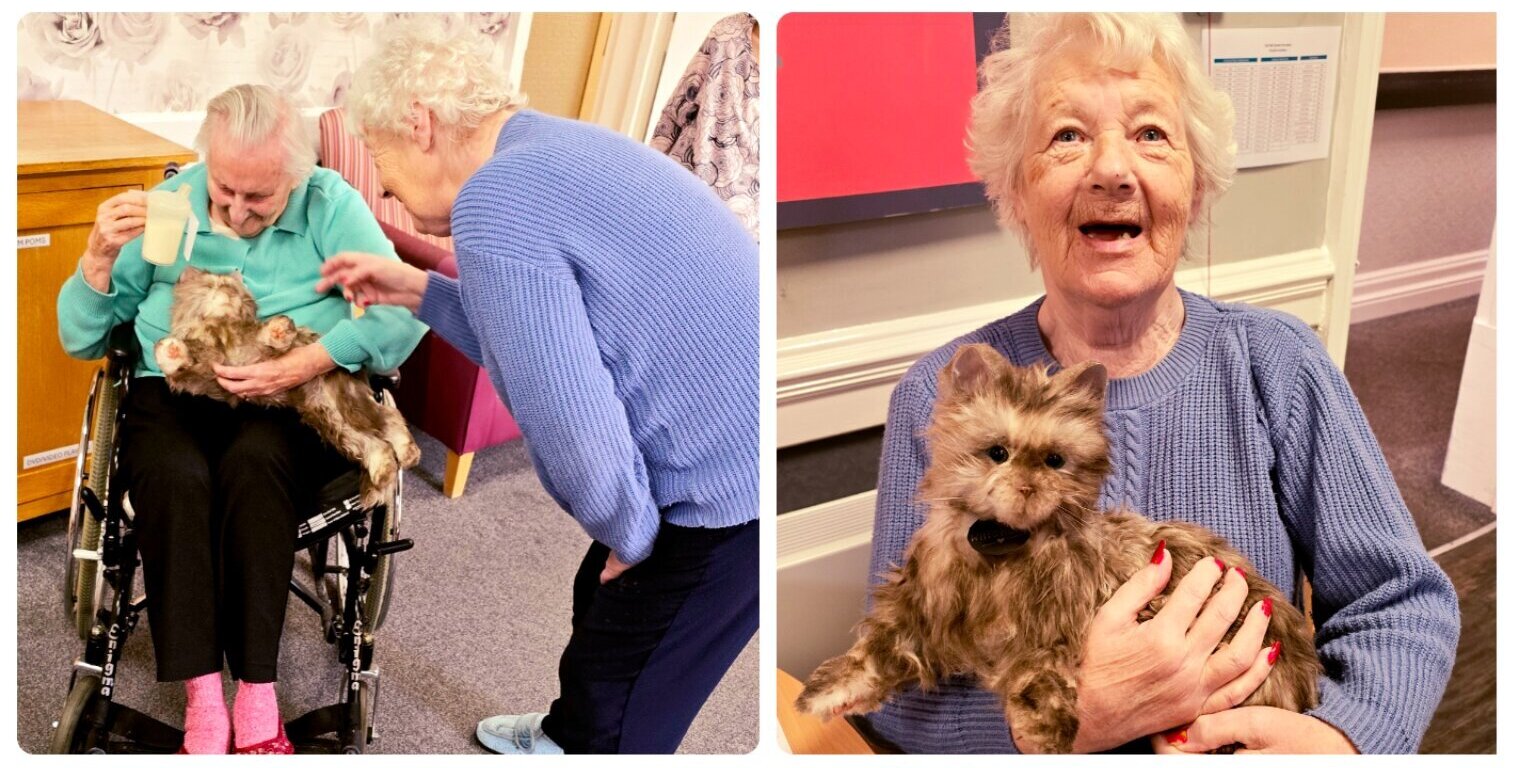 Residents benefit from pet therapy Discover the therapeutic benefits of pet therapy at Foresters Lodge Care Home in Bridlington, offering innovative dementia care and engaging activities to support well-being